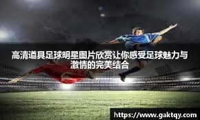 巴尔的摩金莺队任命奥本纳兹为新任总教练，开启鲁宾斯坦时代首个完整赛季